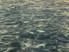 DSC_5306-001 (Small).jpg